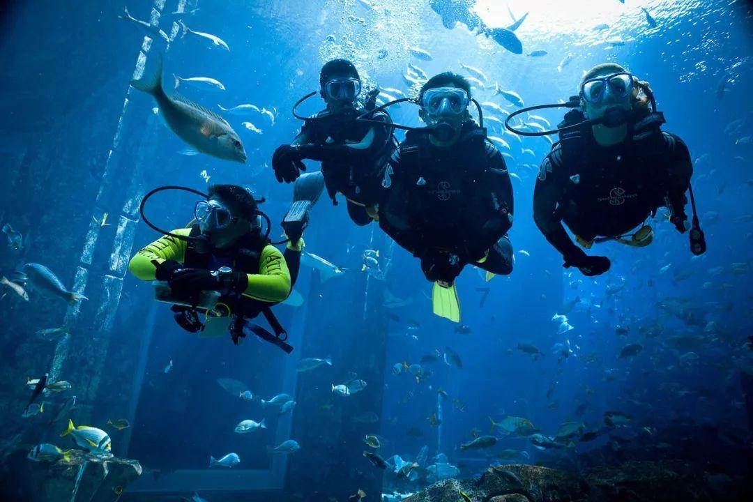 造物法则